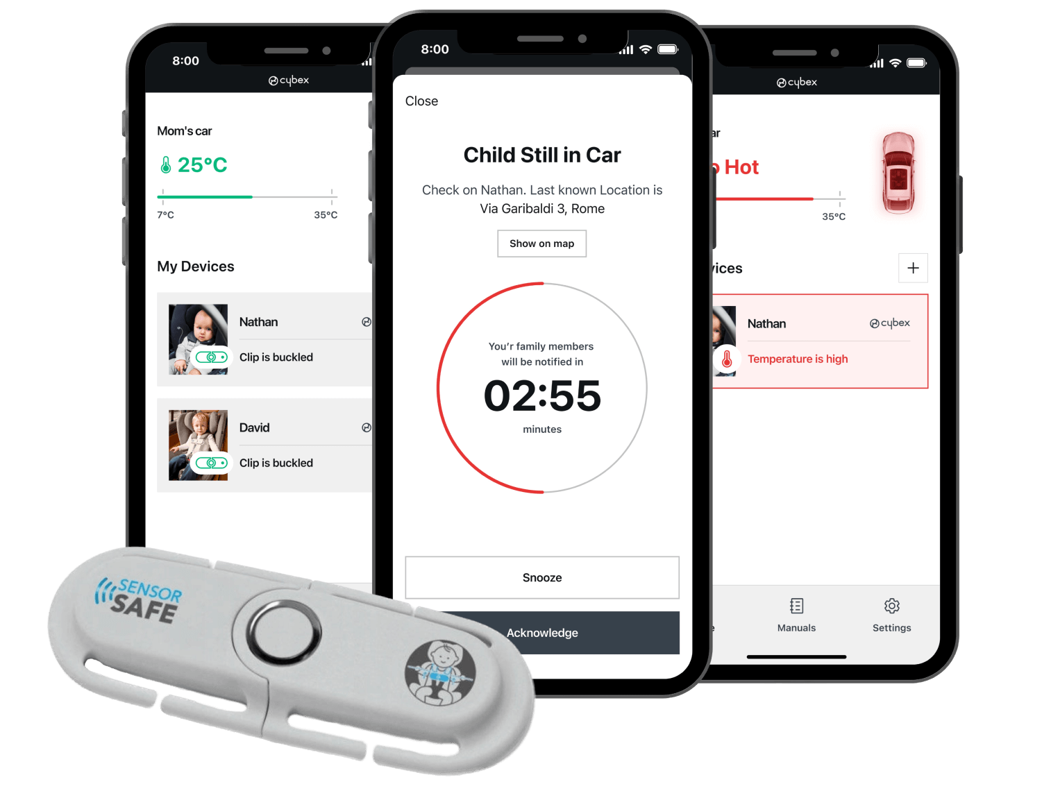 Cybex case study