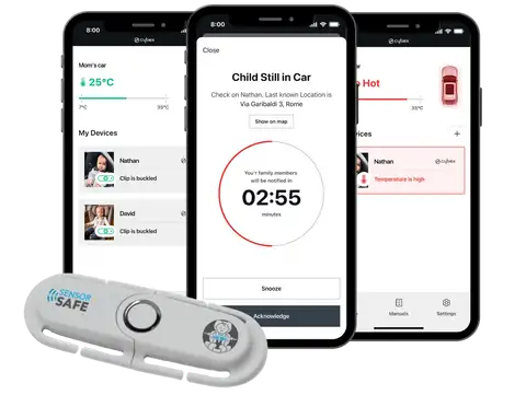 Cybex case study