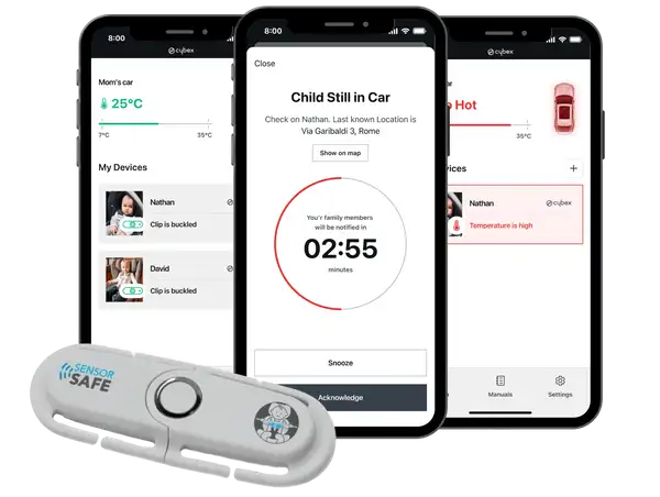 Cybex case study