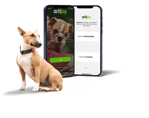 Actijoy case study