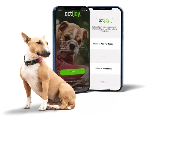 Actijoy case study