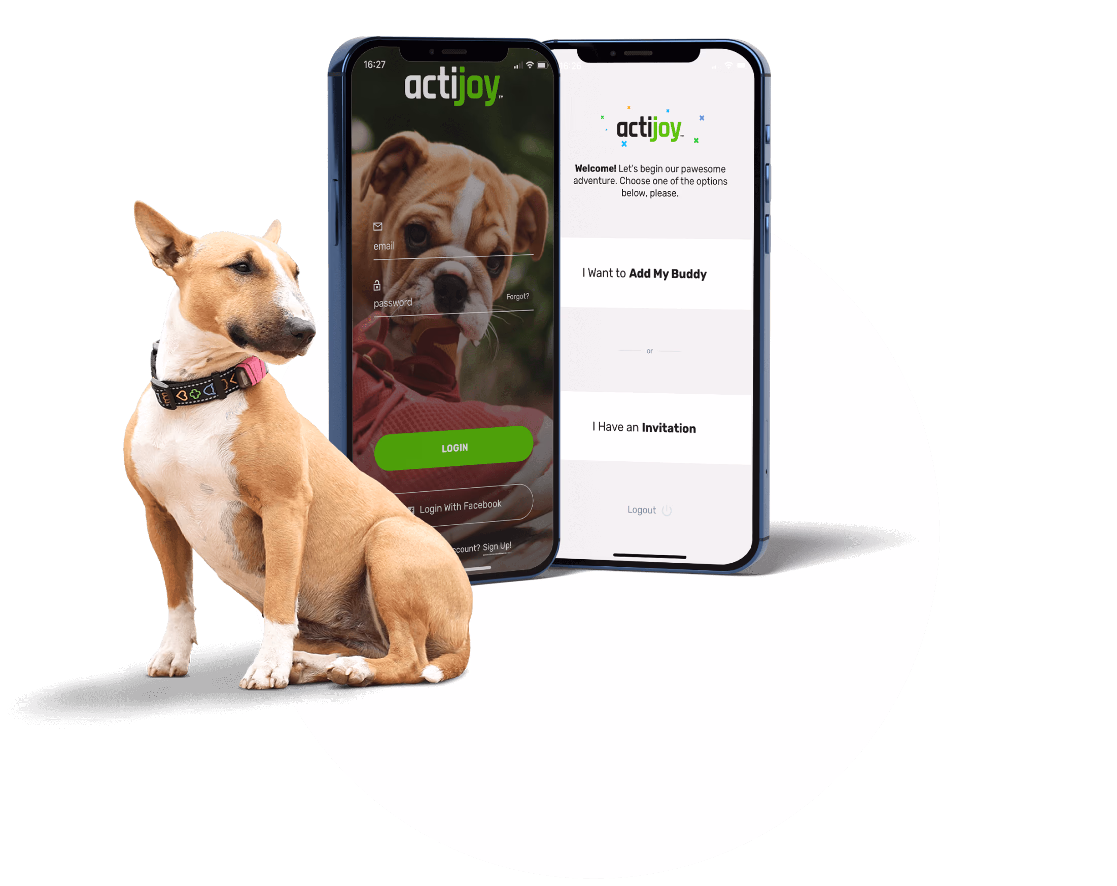 Actijoy — A smart device for healthier dogs