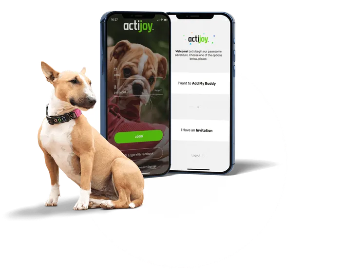 Actijoy chytrá aplikace pro sledování zdraví psů