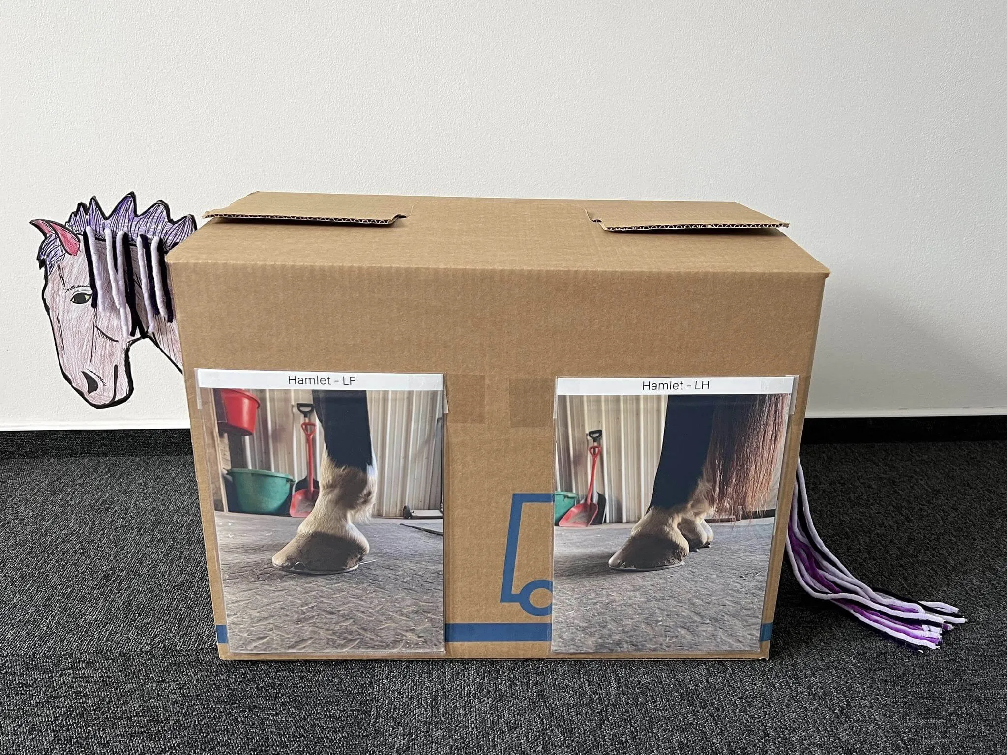 Kůň jako kontext produktu Barncat