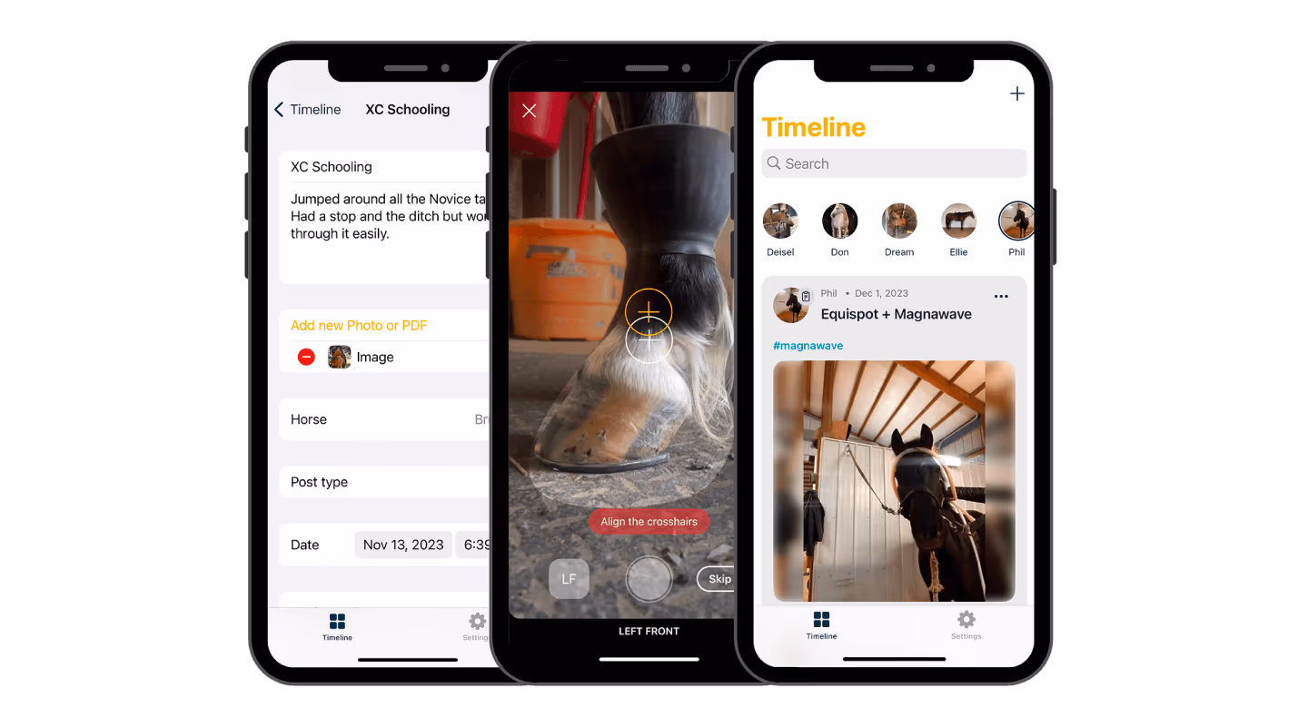 Barncat — Development of a customized mobile application in four months